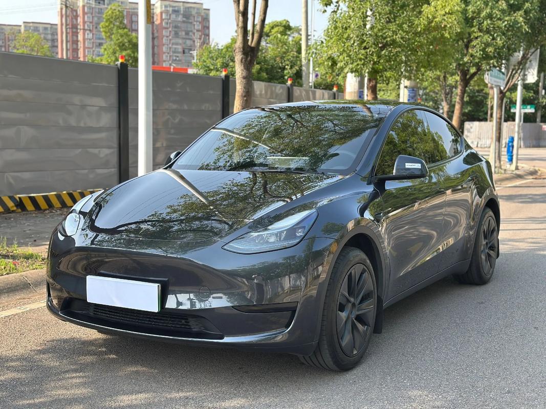 Tesla Model Y: Not Just an SUV, But Your Next Lifestyle Upgrade