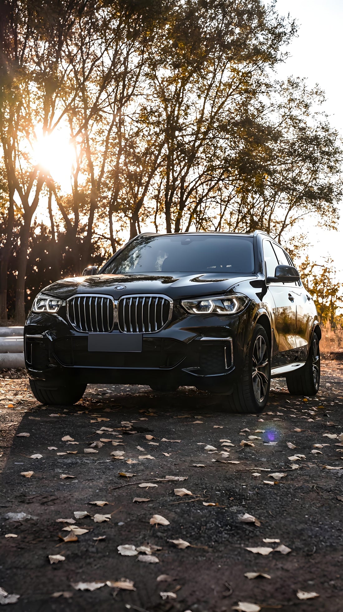 The Undisputed Sovereign of the Road: Why the BMW X5 Continues to Reign Supreme